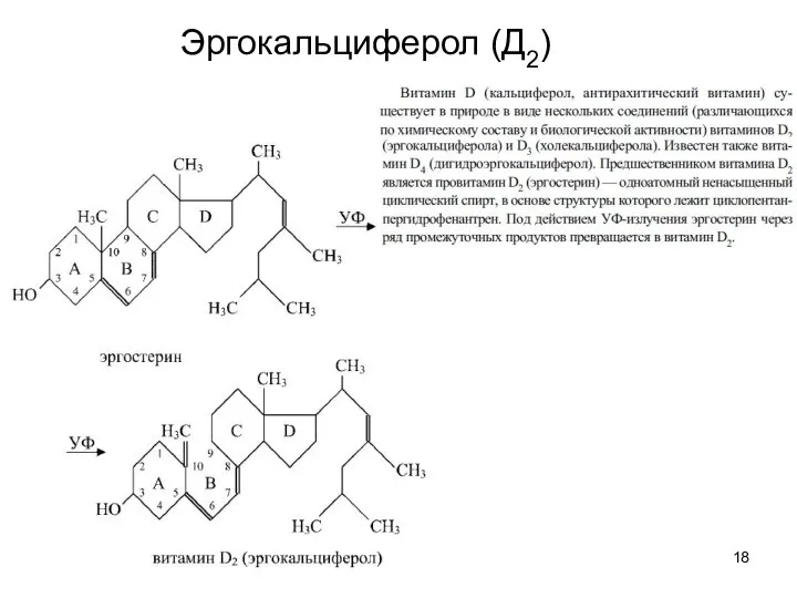 Эргокальциферол (Д2)