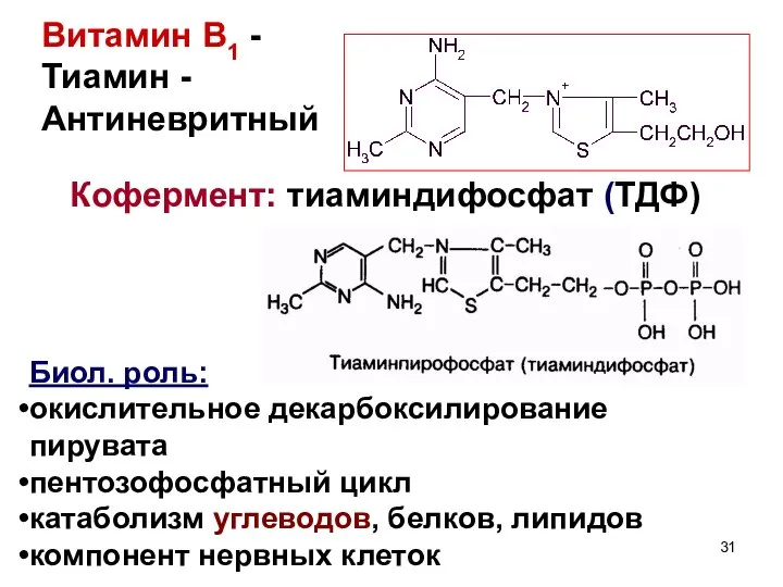 Витамин В1 - Тиамин - Антиневритный Кофермент: тиаминдифосфат (ТДФ) Биол. роль: окислительное