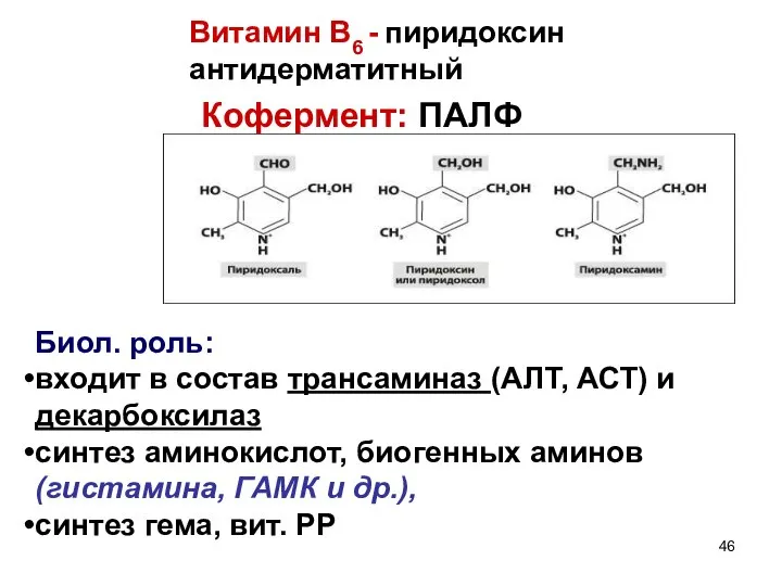 Витамин В6 - пиридоксин антидерматитный Кофермент: ПАЛФ Биол. роль: входит в состав