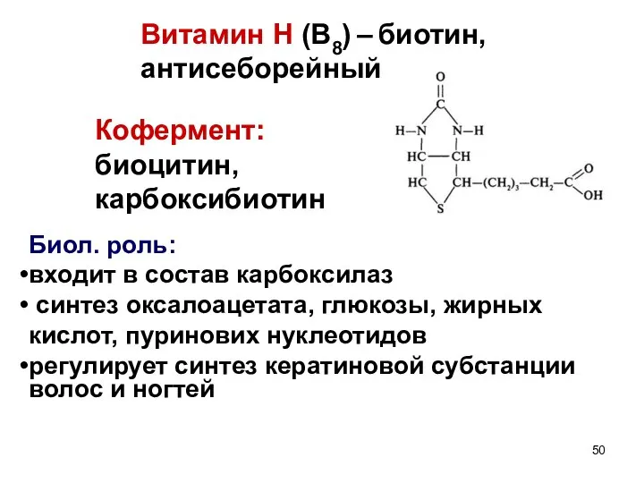 Витамин Н (В8) – биотин, антисеборейный Кофермент: биоцитин, карбоксибиотин Биол. роль: входит