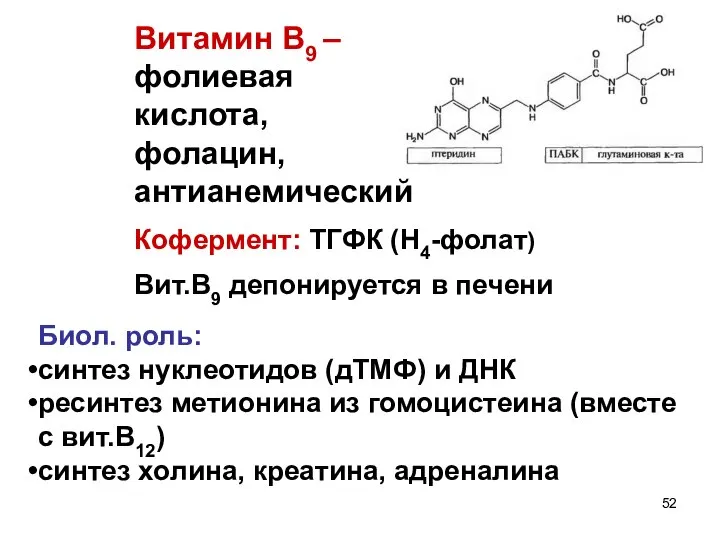 Витамин В9 – фолиевая кислота, фолацин, антианемический Кофермент: ТГФК (Н4-фолат) Вит.В9 депонируется