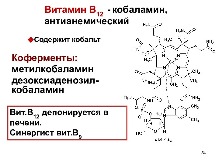 Витамин В12 - кобаламин, антианемический Содержит кобальт Коферменты: метилкобаламин дезоксиаденозил-кобаламин Вит.В12 депонируется в печени. Синергист вит.В9