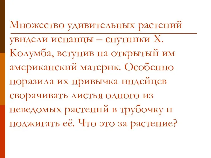 Множество удивительных растений увидели испанцы – спутники Х.Колумба, вступив на открытый им