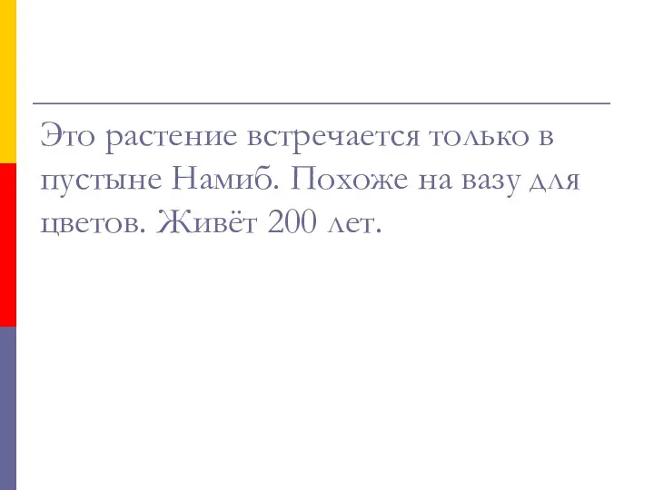 Это растение встречается только в пустыне Намиб. Похоже на вазу для цветов. Живёт 200 лет.