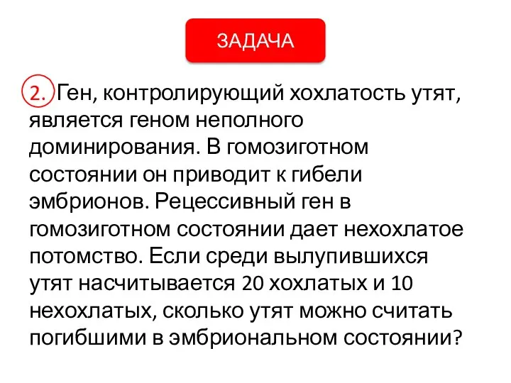 ЗАДАЧА 2. Ген, контролирующий хохлатость утят, является геном неполного доминирования. В гомозиготном