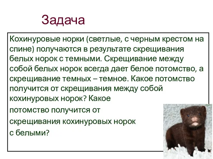 Задача Кохинуровые норки (светлые, с черным крестом на спине) получаются в результате