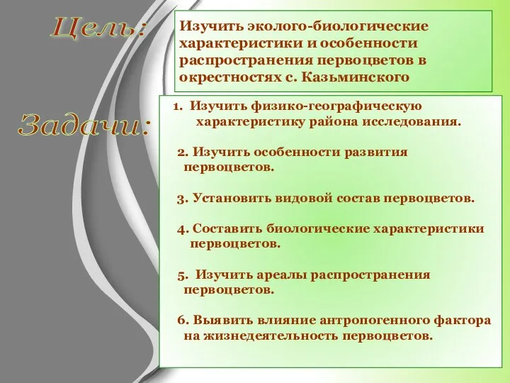 Цель: Изучить эколого-биологические характеристики и особенности распространения первоцветов в окрестностях с. Казьминского