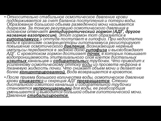 Относительно стабильное осмотическое давление крови поддерживается за счет баланса поступления и потери