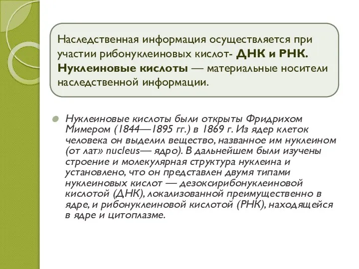 Нуклеиновые кислоты были открыты Фридрихом Мимером (1844—1895 гг.) в 1869 г. Из