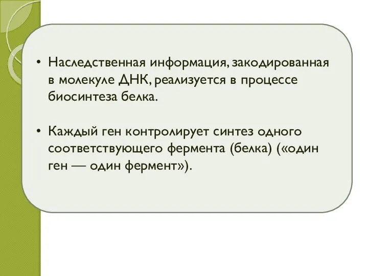 Наследственная информация, закодированная в молекуле ДНК, реализуется в процессе биосинтеза белка. Каждый