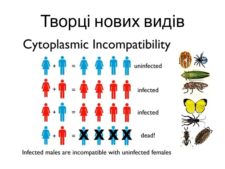 Творці нових видів