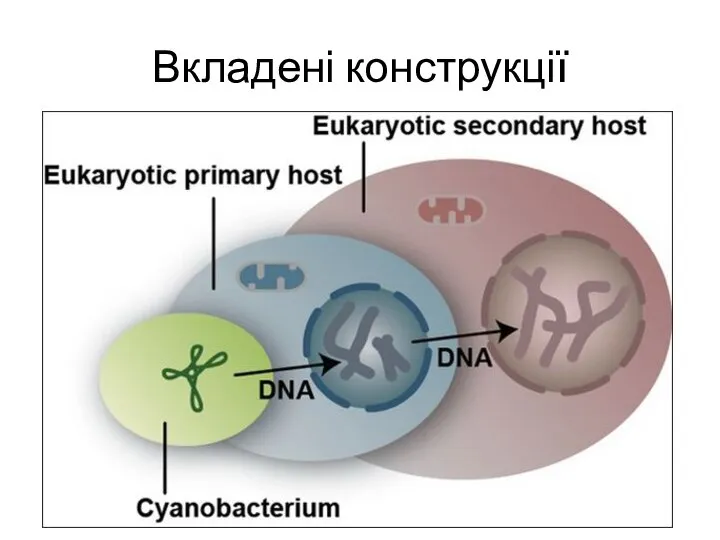 Вкладені конструкції