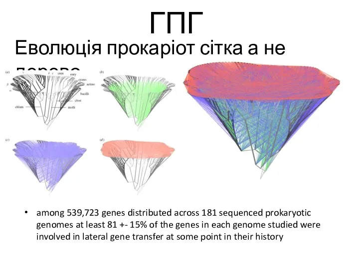 ГПГ among 539,723 genes distributed across 181 sequenced prokaryotic genomes at least