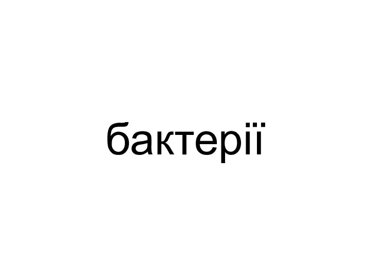 бактерії