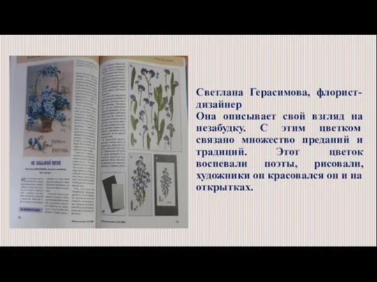 Светлана Герасимова, флорист-дизайнер Она описывает свой взгляд на незабудку. С этим цветком