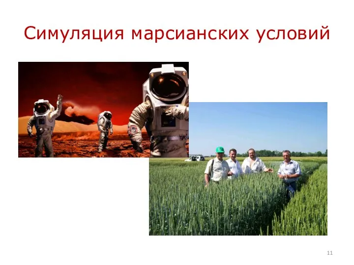 Симуляция марсианских условий