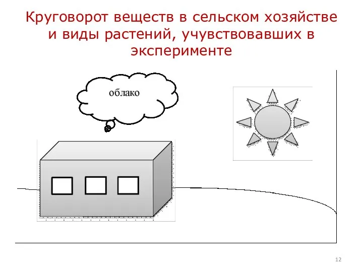 Круговорот веществ в сельском хозяйстве и виды растений, учувствовавших в эксперименте