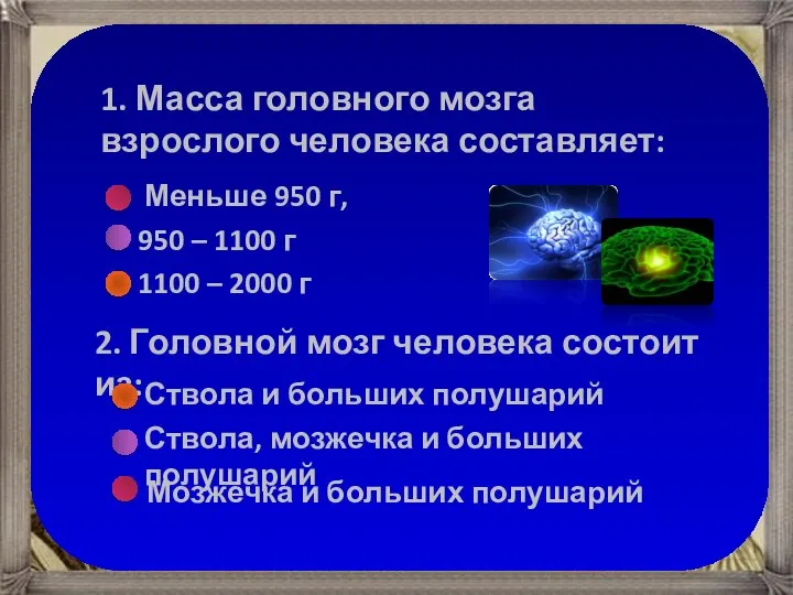 1. Масса головного мозга взрослого человека составляет: Меньше 950 г, 950 –