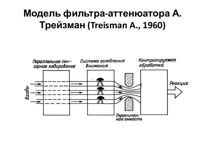 Модель фильтра-аттенюатора А. Трейзман (Treisman A., 1960)