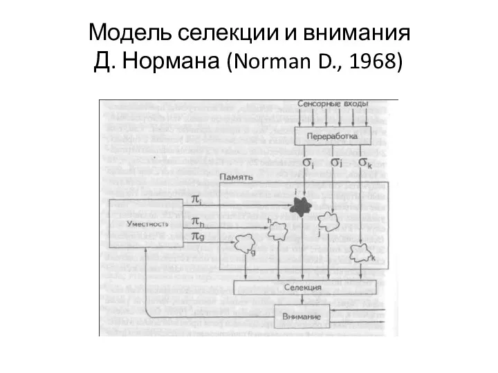 Модель селекции и внимания Д. Нормана (Norman D., 1968)