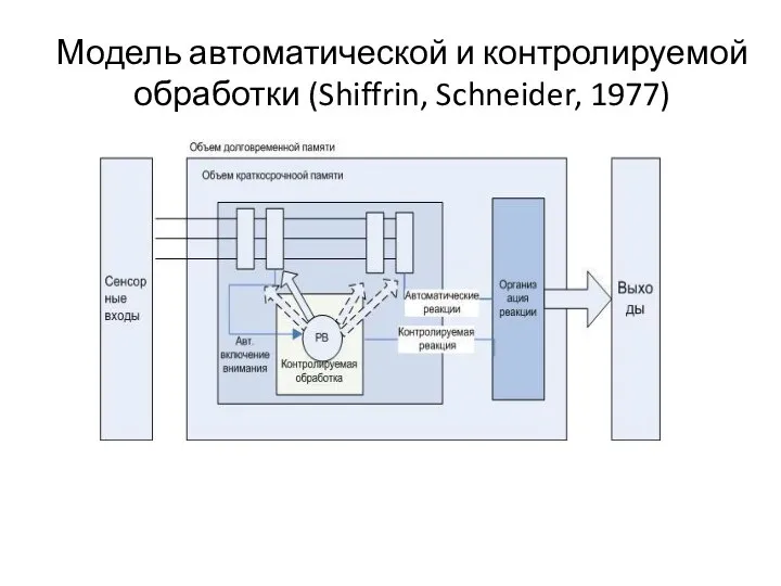 Модель автоматической и контролируемой обработки (Shiffrin, Schneider, 1977)