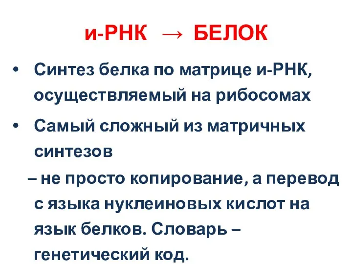 Синтез белка по матрице и-РНК, осуществляемый на рибосомах Самый сложный из матричных