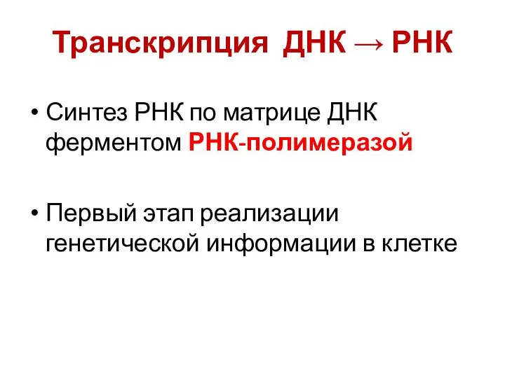 Транскрипция ДНК → РНК Синтез РНК по матрице ДНК ферментом РНК-полимеразой Первый