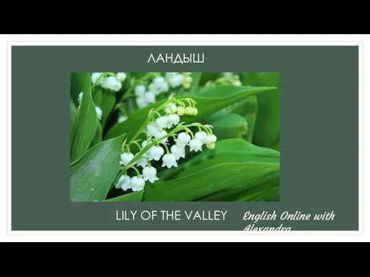ЛАНДЫШ LILY OF THE VALLEY English Online with Alexandra