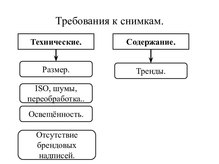 Требования к снимкам. Технические. Содержание. Размер. ISO, шумы, переобработка.. Освещённость. Отсутствие брендовых надписей. Тренды.