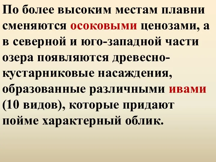 По более высоким местам плавни сменяются осоковыми ценозами, а в северной и