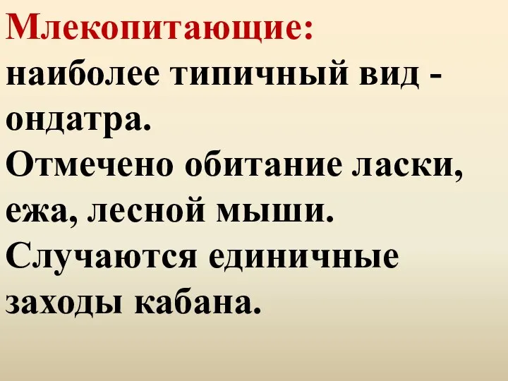 Млекопитающие: наиболее типичный вид - ондатра. Отмечено обитание ласки, ежа, лесной мыши. Случаются единичные заходы кабана.