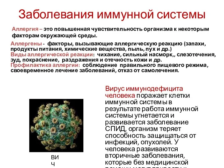 Аллергия – это повышенная чувствительность организма к некоторым факторам окружающей среды. Аллергены