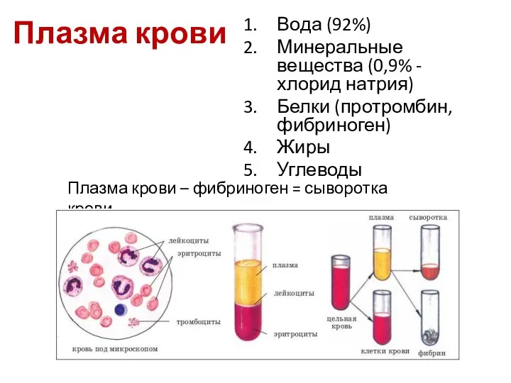 Плазма крови Вода (92%) Минеральные вещества (0,9% - хлорид натрия) Белки (протромбин,