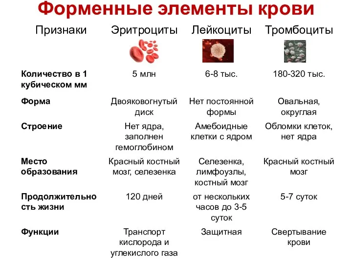 Форменные элементы крови