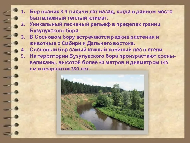 Бор возник 3-4 тысячи лет назад, когда в данном месте был влажный