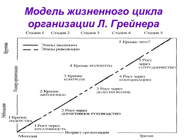 Модель жизненного цикла организации Л. Грейнера
