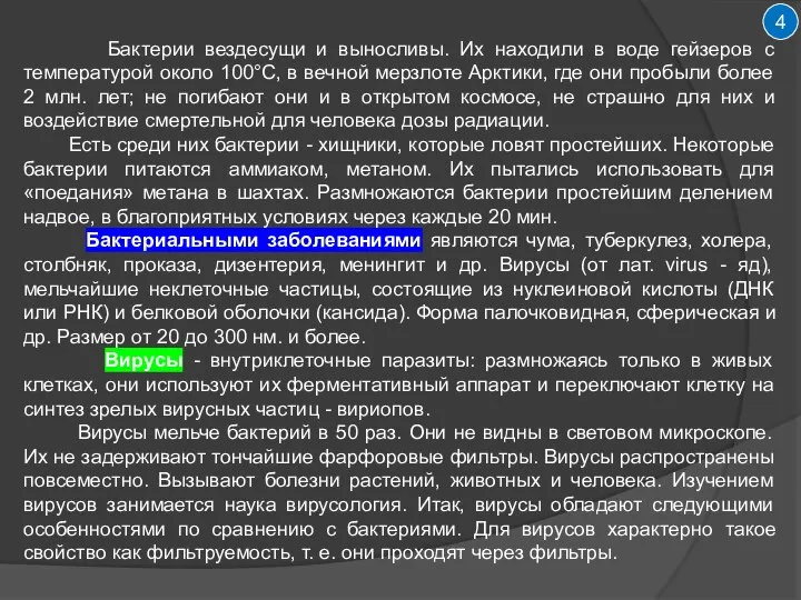 4 Бактерии вездесущи и выносливы. Их находили в воде гейзеров с температурой