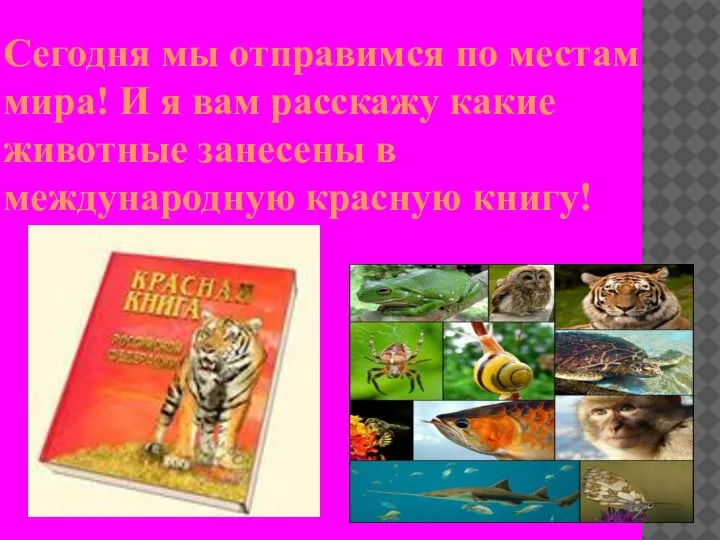 Сегодня мы отправимся по местам мира! И я вам расскажу какие животные