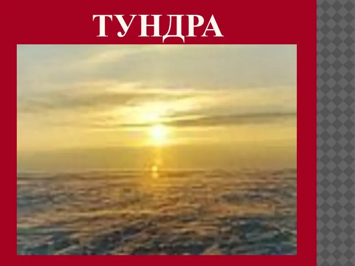 ТУНДРА