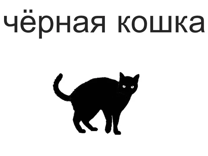 чёрная кошка