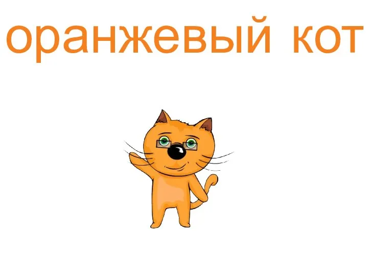 оранжевый кот