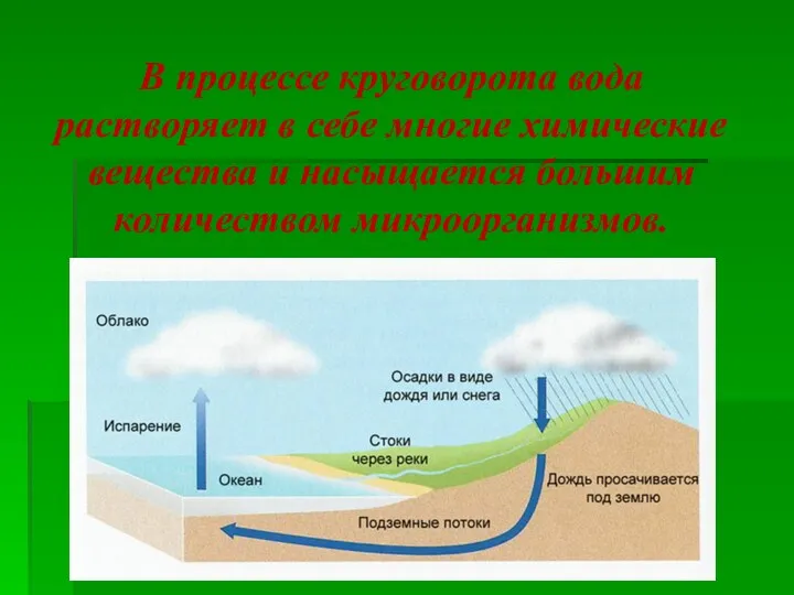 В процессе круговорота вода растворяет в себе многие химические вещества и насыщается большим количеством микроорганизмов.