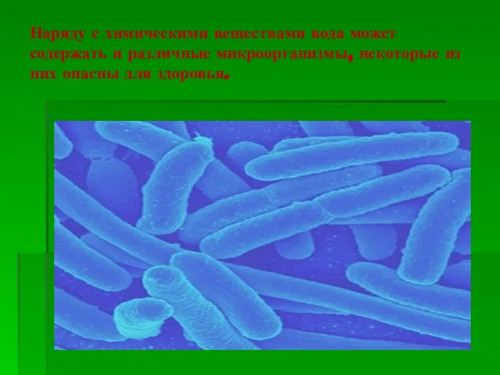Наряду с химическими веществами вода может содержать и различные микроорганизмы, некоторые из них опасны для здоровья.