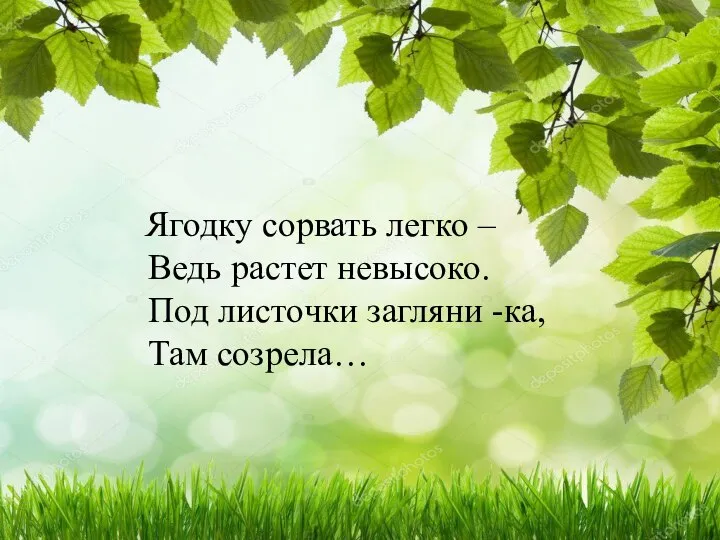 Ягодку сорвать легко – Ведь растет невысоко. Под листочки загляни - ка