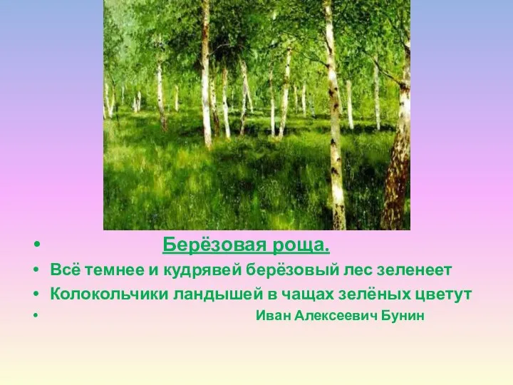 Берёзовая роща. Всё темнее и кудрявей берёзовый лес зеленеет Колокольчики ландышей в