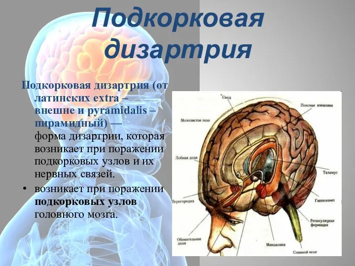 Подкорковая дизартрия Подкорковая дизартрия (от латинских extra – внешне и pyramidalis –