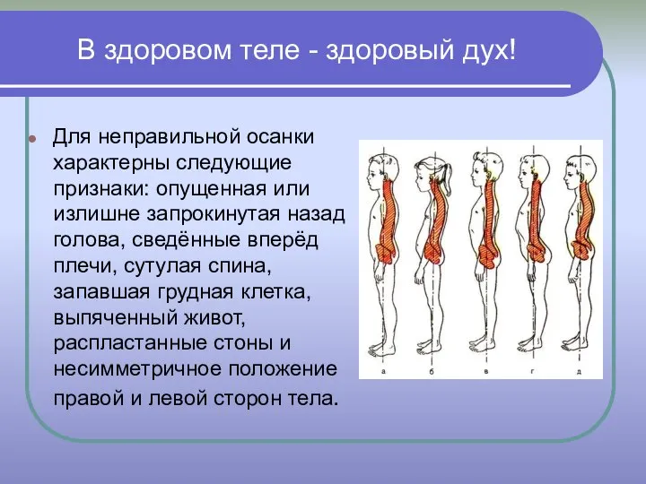 В здоровом теле - здоровый дух! Для неправильной осанки характерны следующие признаки: