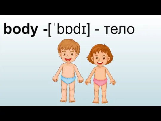 body -[ˈbɒdɪ] - тело