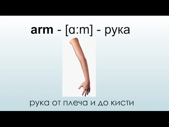 arm - [ɑ:m] - рука рука от плеча и до кисти