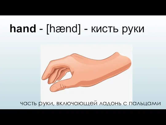 hand - [hænd] - кисть руки часть руки, включающей ладонь с пальцами